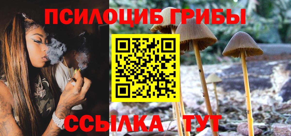 Галлюциногенные грибы мицелий  где найти наркотики  Похвистнево  Галлюциногенные грибы Psilocybine cubensis  Вход с VPN 